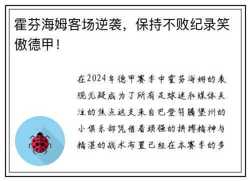 霍芬海姆客场逆袭，保持不败纪录笑傲德甲！