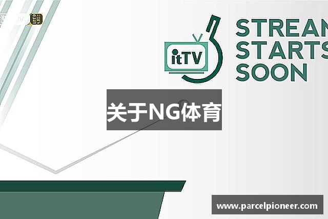关于NG体育